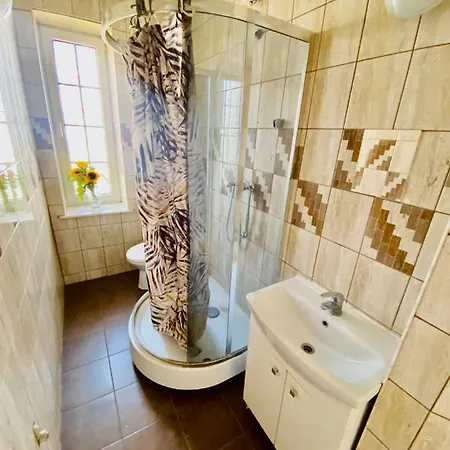 The New Silesia House - квартира в оренду / Na Wynajem Séjour chez l'habitant Sosnowiec