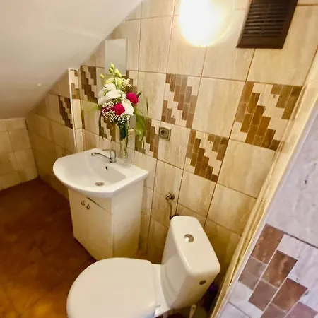 The New Silesia House - квартира в оренду / Na Wynajem Séjour chez l'habitant